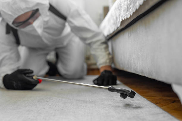Professional Bed Bug Control technician working in Christian County County, IL